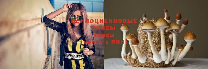 Галлюциногенные грибы Magic Shrooms  Билибино 